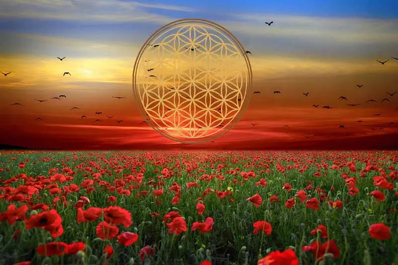Beneficios de la Flor de la Vida en la Geometría Sagrada - mundoorgon